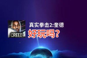 真实拳击2:奎德好玩吗？真实拳击2:奎德好不好玩评测