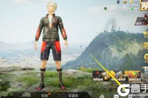 《和平精英》观察期是什么 观察期怎么办