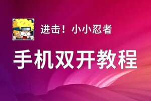 进击！小小忍者双开挂机软件推荐  怎么双开进击！小小忍者详细图文教程