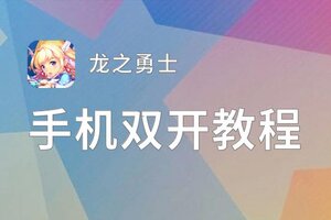 有没有龙之勇士双开软件推荐 深度解答如何双开龙之勇士