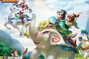 获得紫卡心得分析