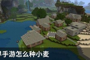 我的世界怎么种小麦