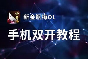 新金瓶梅OL挂机软件&双开软件推荐  轻松搞定新金瓶梅OL双开和挂机