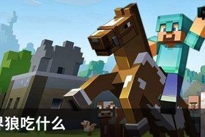 我的世界狼吃什么