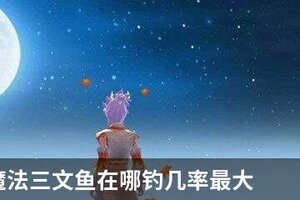 创造与魔法三文鱼在哪钓几率最大