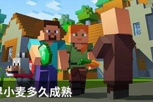 我的世界小麦多久成熟