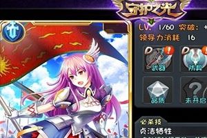 骑士职业解析