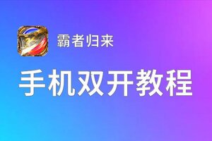 霸者归来挂机软件&双开软件推荐  轻松搞定霸者归来双开和挂机