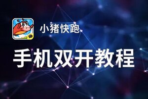 小猪快跑双开神器 轻松一键搞定小猪快跑挂机双开