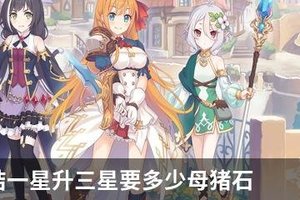 公主连结一星升三星要多少母猪石