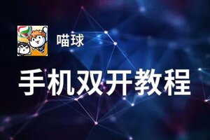 喵球双开挂机软件推荐  怎么双开喵球详细图文教程