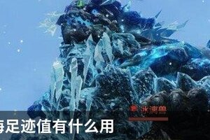 妄想山海足迹值有什么用