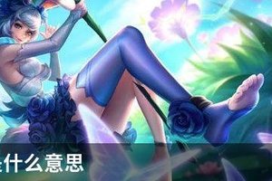 ban率是什么意思