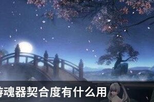天谕手游魂器契合度有什么用