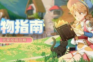 《龙骑士学园》宠物攻略：宠物获取&养成指南！
