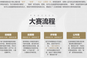 王者荣耀云中君皮肤设计大赛 最佳设计奖获奖公告