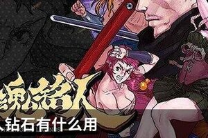 战魂铭人钻石有什么用
