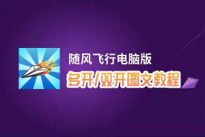 随风飞行怎么双开、多开？随风飞行双开助手工具下载安装教程