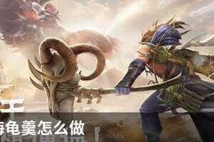 妄想山海龟羹怎么做