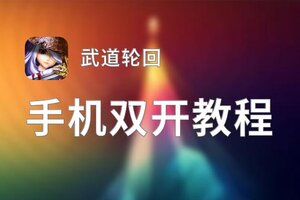 有没有武道轮回双开软件推荐 深度解答如何双开武道轮回