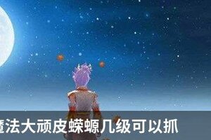 创造与魔法大顽皮蝾螈几级可以抓