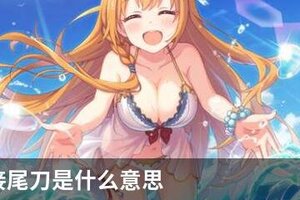 公主连接尾刀是什么意思