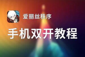 爱丽丝秩序怎么双开  爱丽丝秩序双开挂机软件推荐