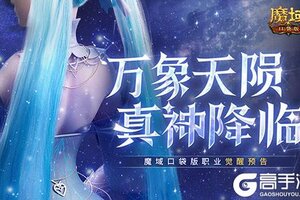 还有高手？魔域口袋版12月职业觉醒预告！