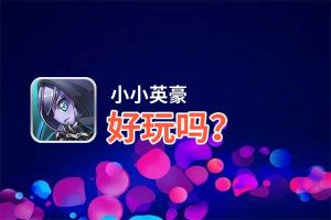 小小英豪好玩吗？小小英豪好不好玩评测