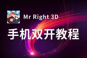 Mr Right 3D如何双开 2020最新双开神器来袭
