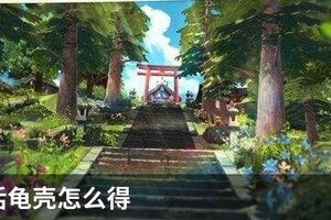小森生活龟壳怎么得