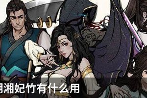 烟雨江湖湘妃竹有什么用