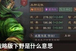 三国志战略版下野指的是什么