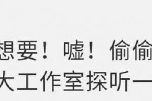 《王者荣耀》五岳鼠年限定爆料②｜骑鱼的神医，庄周玄嵩亮相