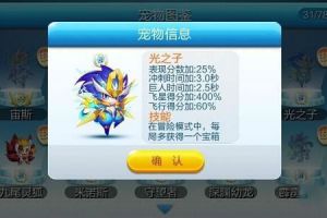 超越S级宠物之神宠光之子