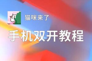 怎么双开猫咪来了？ 猫咪来了双开挂机图文全攻略