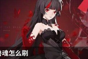 解神者兽魂怎么刷