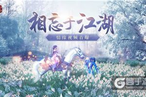相忘于江湖《琅琊榜：风起长林》手游情缘视频首曝