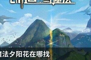 创造与魔法夕阳花在哪找