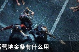 明日之后营地金条有什么用
