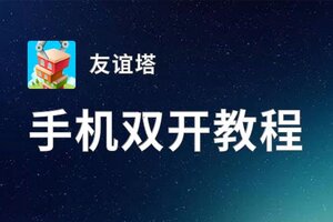 有没有友谊塔双开软件推荐 深度解答如何双开友谊塔