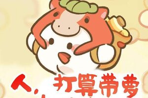 《桃源深处有人家》打算带萝去哪过年？