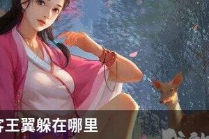我的侠客王翼躲在哪里