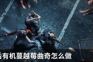 明日之后有机蔓越莓曲奇怎么做