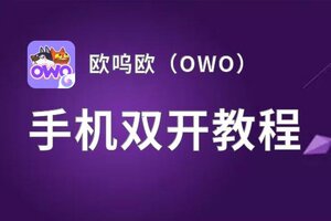 欧呜欧（OWO）怎么双开  欧呜欧（OWO）双开挂机软件推荐