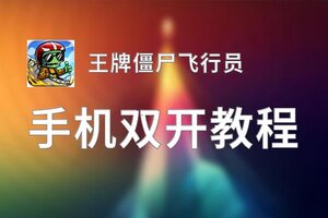 王牌僵尸飞行员挂机软件&双开软件推荐  轻松搞定王牌僵尸飞行员双开和挂机