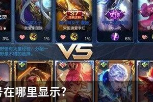 王者称号在哪里显示?