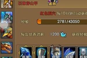 矮人幻兽最佳搭配攻略