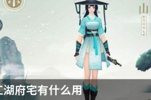 新笑傲江湖府宅有什么用