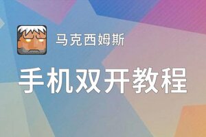 马克西姆斯如何双开 2020最新双开神器来袭